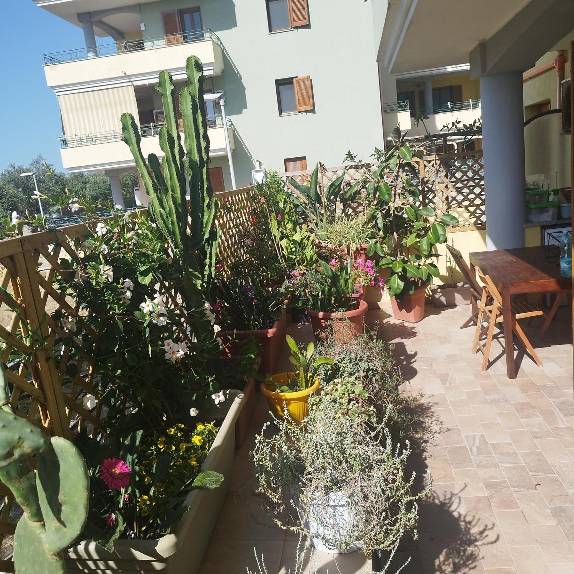 Appartement Alghero Lovely Flat Extérieur photo